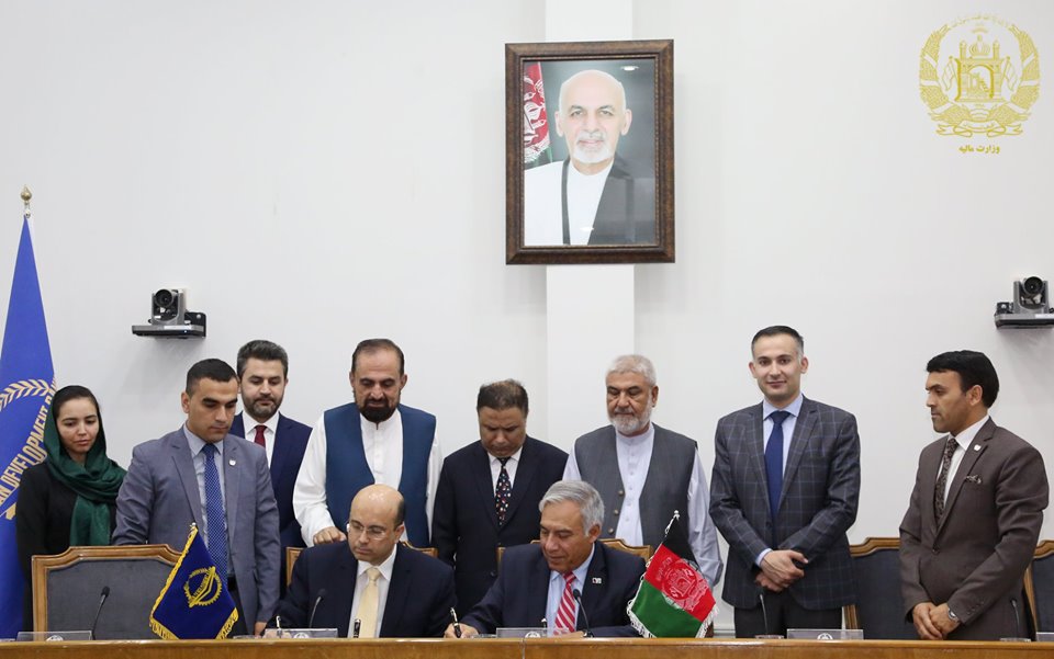 اخبار